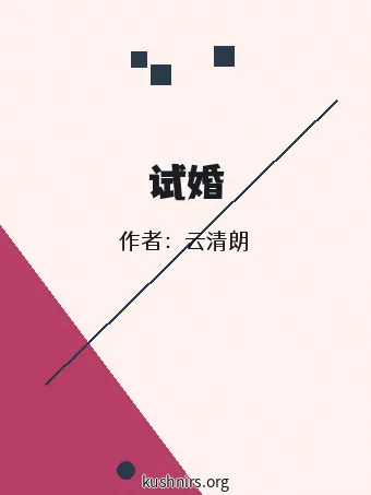 试婚