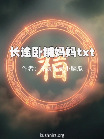 长途卧铺妈妈txt