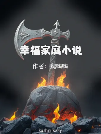幸福家庭小说