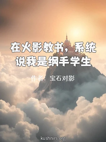在火影教书，系统说我是纲手学生
