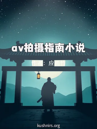 av拍摄指南小说