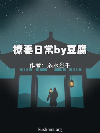 撩妻日常by豆腐