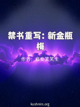 禁书重写：新金瓶梅