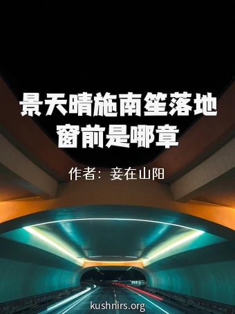 景天晴施南笙落地窗前是哪章