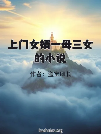 上门女婿一母三女的小说