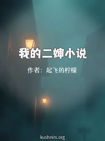 我的二婶小说