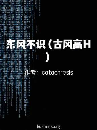 东风不识（古风高H）