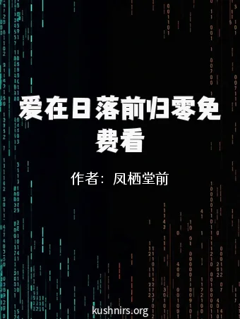 爱在日落前归零免费看