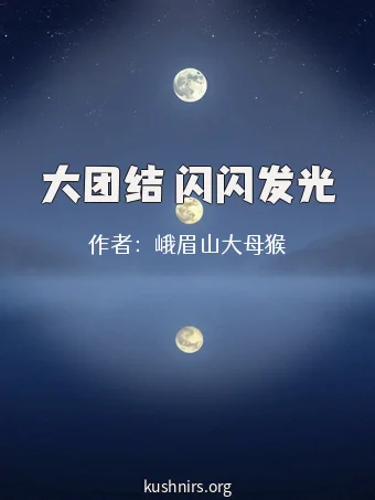 大团结 闪闪发光