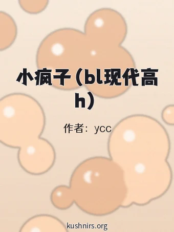 小疯子（bl现代高h）