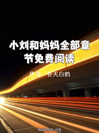 小刘和妈妈全部章节免费阅读