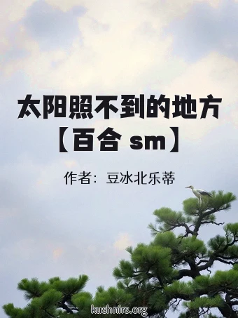 太阳照不到的地方【百合 sm】