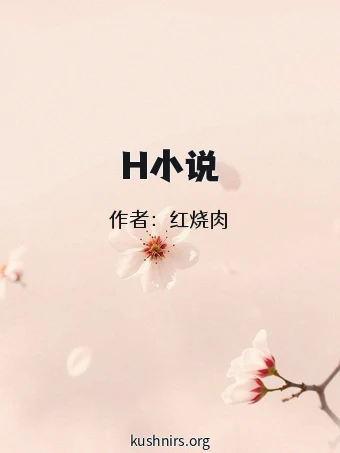 H小说