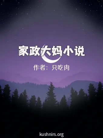 家政大妈小说