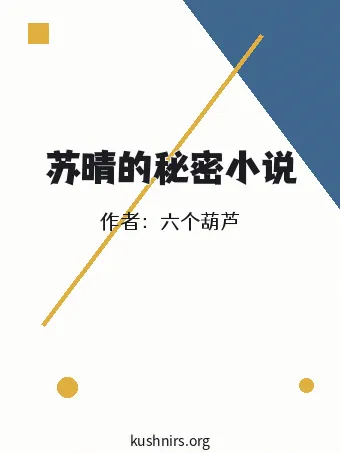 苏晴的秘密小说