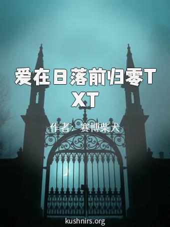 爱在日落前归零TXT