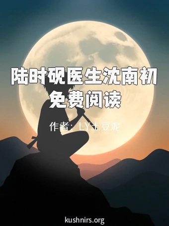 陆时砚医生沈南初免费阅读