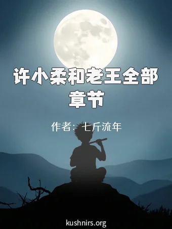 许小柔和老王全部章节