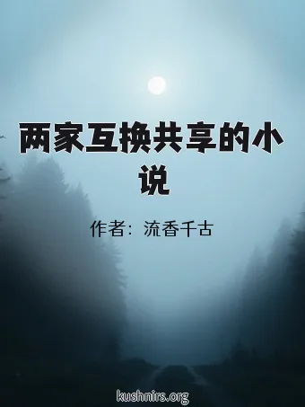 两家互换共享的小说