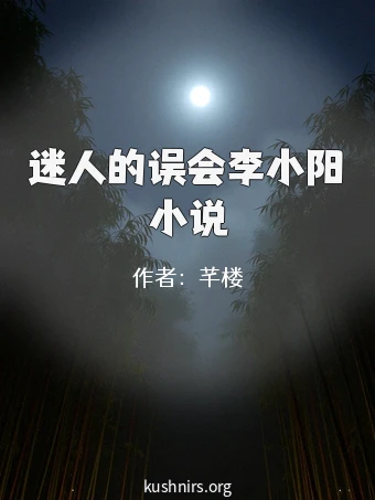 迷人的误会李小阳小说