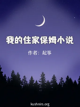 我的住家保姆小说