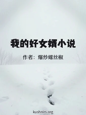 我的好女婿小说
