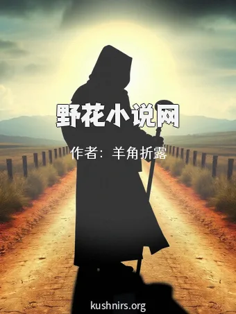 野花小说网
