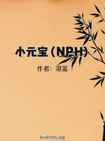 小元宝（NPH）