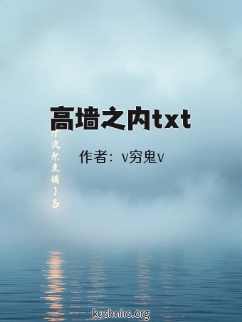 高墙之内txt