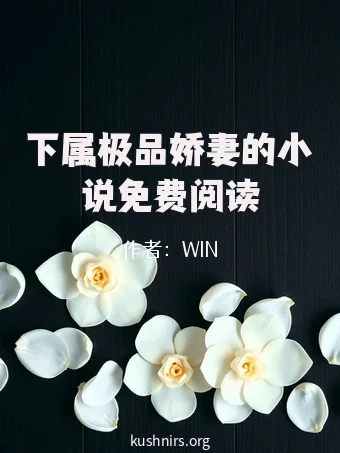 下属极品娇妻的小说免费阅读