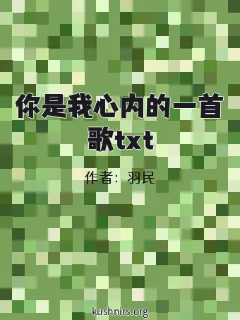 你是我心内的一首歌txt