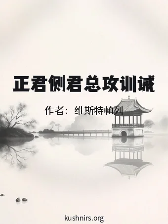 正君侧君总攻训诫