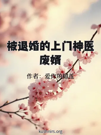 被退婚的上门神医废婿