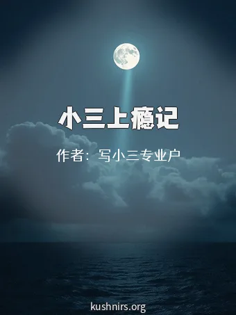 小三上瘾记