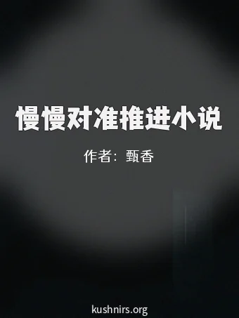 慢慢对准推进小说