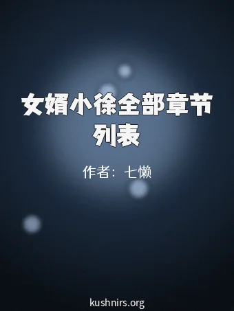 女婿小徐全部章节列表