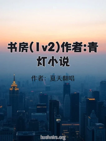 书房(1v2)作者:青灯小说