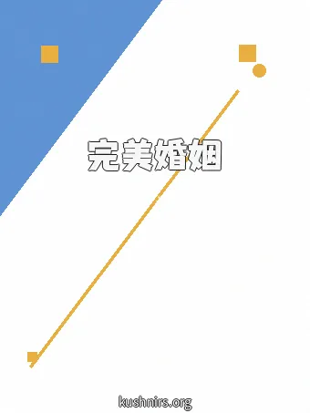 完美婚姻