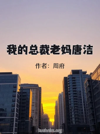 我的总裁老妈唐洁