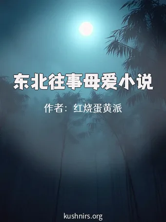 东北往事母爱小说