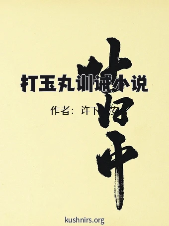 打玉丸训诫小说