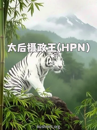 太后摄政王(HPN)