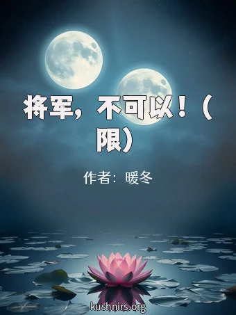 将军，不可以！（限）