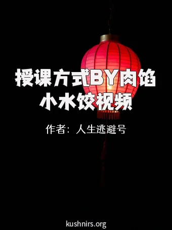 授课方式BY肉馅小水饺视频