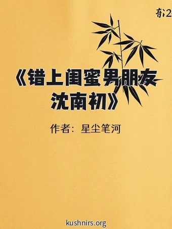《错上闺蜜男朋友沈南初》