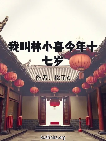 我叫林小喜今年十七岁