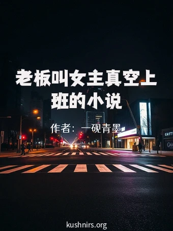 老板叫女主真空上班的小说