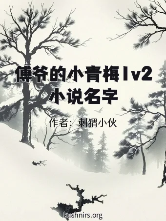傅爷的小青梅1v2小说名字