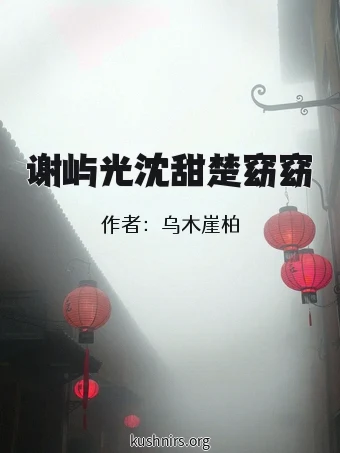 谢屿光沈甜楚窈窈
