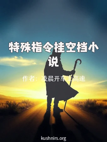 特殊指令挂空挡小说